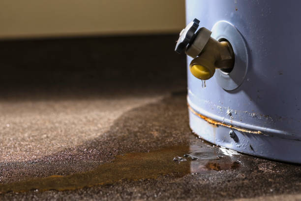 Best Basement water damage restoration  in Yankton, SD