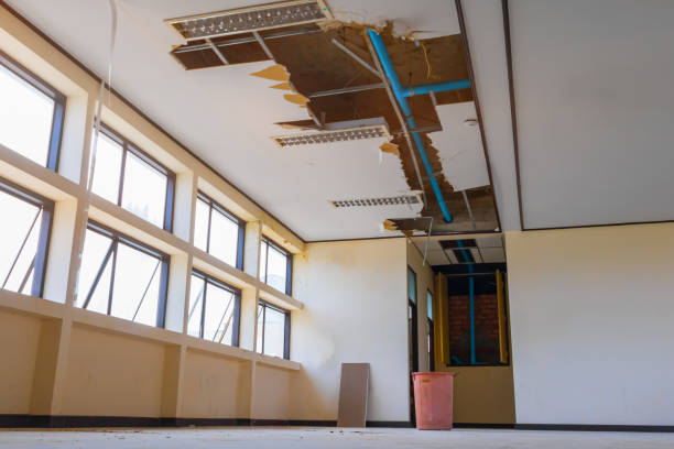 Best Water damage restoration near me  in Yankton, SD