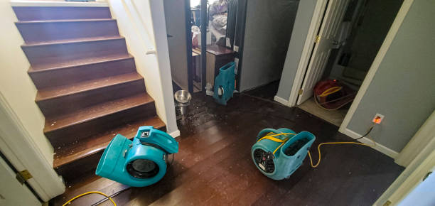 Best Commercial water damage restoration  in Yankton, SD