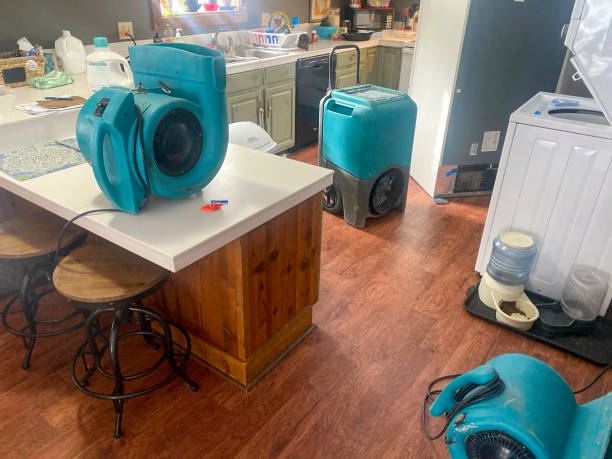 Carpet water damage restoration in Yankton, SD