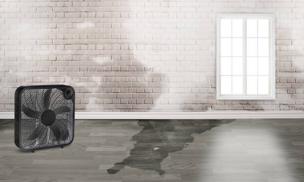 Best Fire Damage Restoration  in Yankton, SD