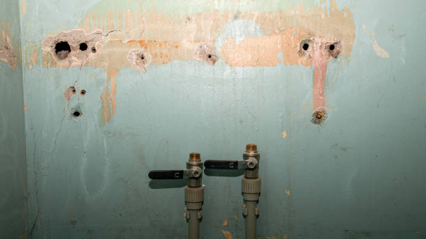 Best Professional water damage repair  in Yankton, SD