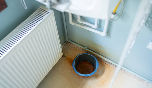 Best Mold removal after water damage  in Yankton, SD