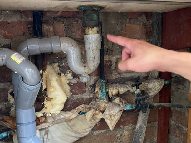 Best Professional water damage repair  in Yankton, SD