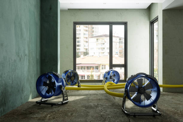 Best Local water damage restoration  in Yankton, SD